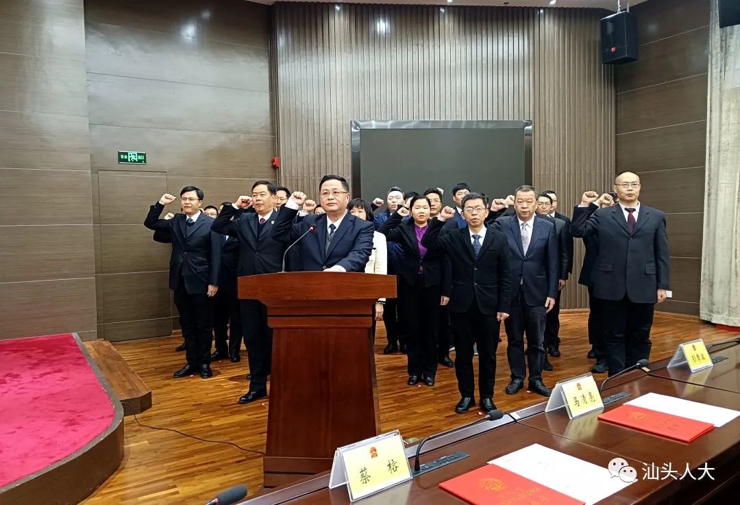 汕头市干部任免信息全览，任免信息指南