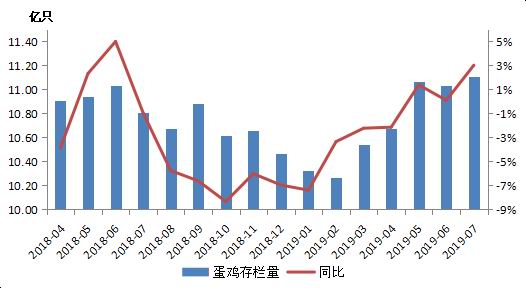 最新淘汰鸡价格动态更新