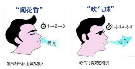 咽气诺最新观点阐述