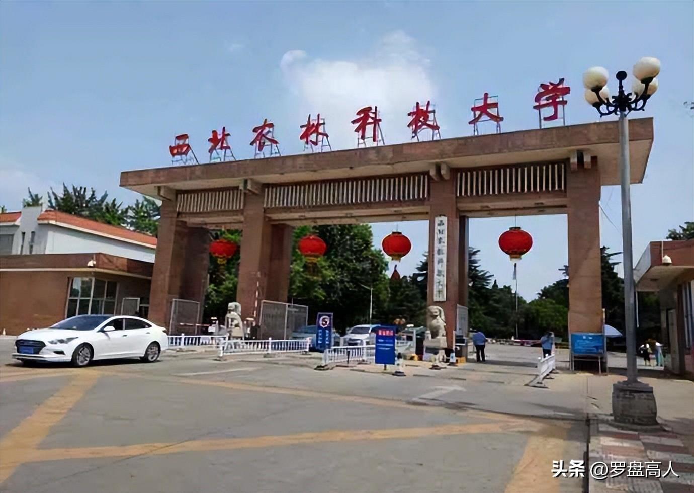 最新科技技术，双刃剑的探讨与挑战